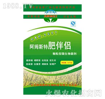 ��ķ˹�طʰ�H-��ķ˹