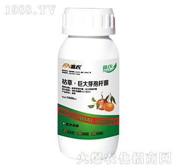 �ݲݡ��޴�ѿ�ߗU��-����-���r(n��ng)