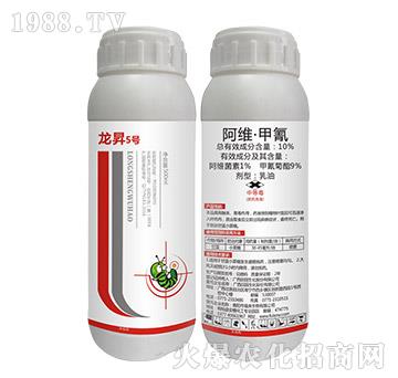 10%���S������-���N5̖-���N����