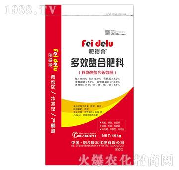 ��Ч���Ϸ���-�ʵ���-���S����