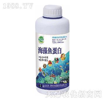 �����~����-��@���S-���S�ʘI(y��)