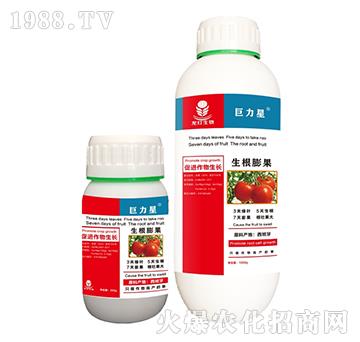 �������-������-��������