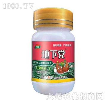 �t���߮a��-�����h-ľ�̼ь�