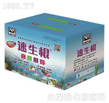 ���������У�-����