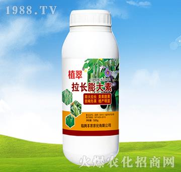 ���L(zh��ng)�����-ֲ��-�S�r(n��ng)�r(n��ng)��