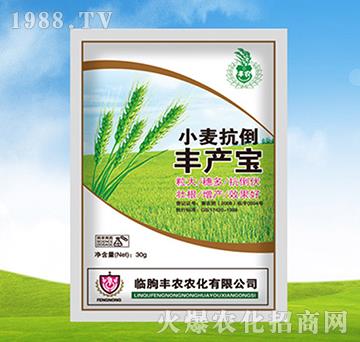 С�������S�a(ch��n)��-�S�r(n��ng)�r(n��ng)��