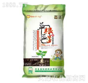 ΢�����ЙC(j��)��-�������-����r(n��ng)