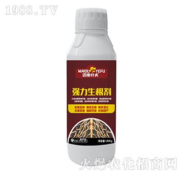 ����������-�~���~��