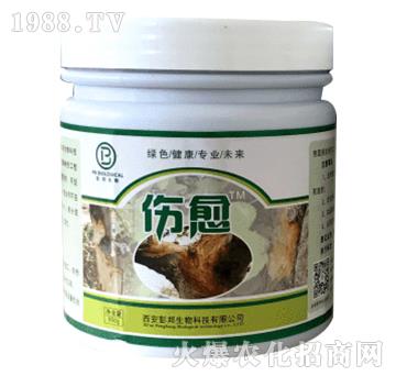 �������ͿĨ���τ�-����-��������