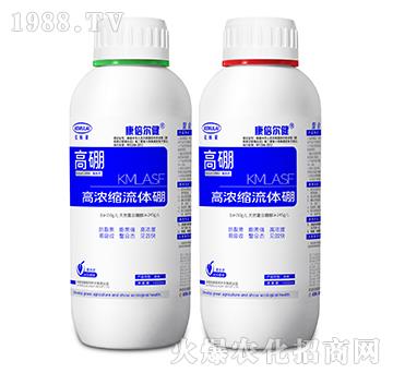 �ߝ�s���w��-����-��������-��ķ�R