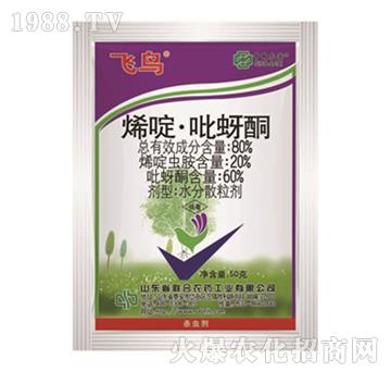 80%ϩड�����ͪ-�w�B(ni��o)-���r(n��ng)(li��n)��