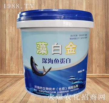 ��~(y��)����-��׽�-��ʩ��