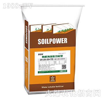 ø�⺣���Ṧ���ʹ���Ԫ��ˮ�ܷ���20-20-20+TE-Ɩ����-�����r(n��ng)�I(y��)