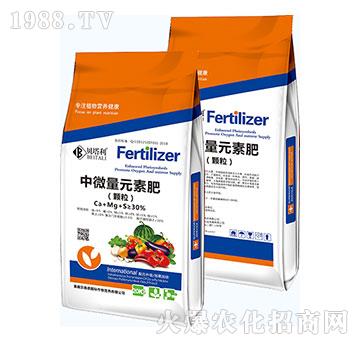 ��΢��Ԫ�طʣ��w����-ؐ����