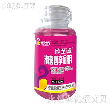 �Ǵ���-�����\