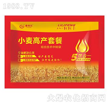 С���߮a�ײͣ���Ч��һ��-�����S-̩����