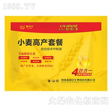 С���߮a�ײͣ���Ч��һ��-������-̩����