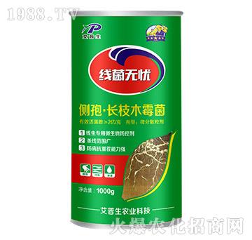 ���ߡ��L֦ľù��-�����o�n-������