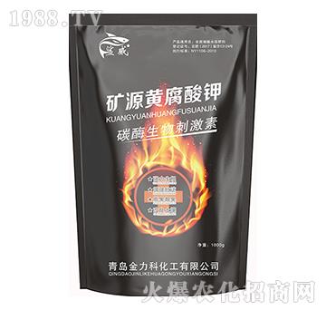 ̼ø����̼���-�VԴ�S�����-����