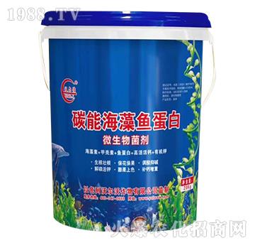 ̼�ܺ����~����-�֠�٥-�֠���