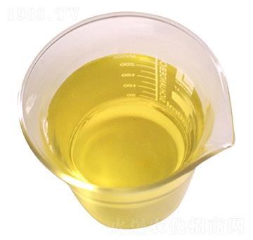 Һ�w��-ؐ����