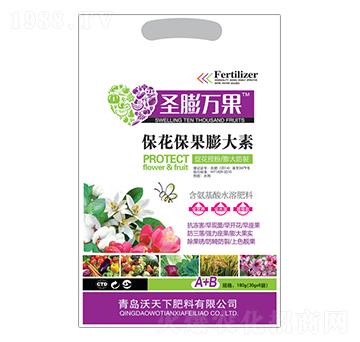 �������������-ʥ���f��-������