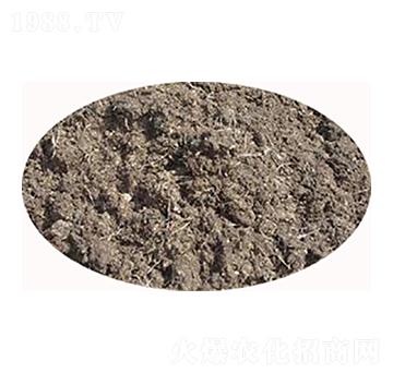 �l(f��)�͸��u�S-���S����