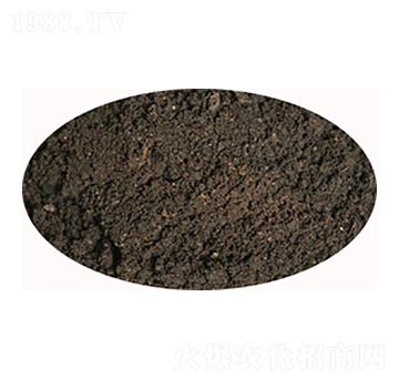 ʯ���f���u�S-���S����