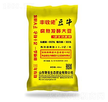 ����l(f��)�ʹ󶹷�-���n���B(t��i)