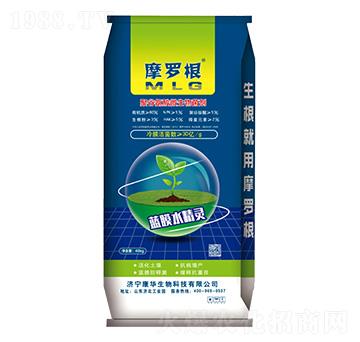 �۹Ȱ���΢�������-Ħ�_��-���A����