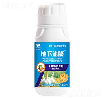 ������������-��������-�֠���(y��u)