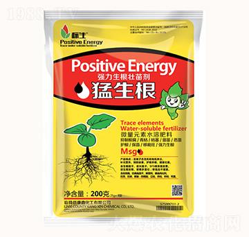 �����������焩-������-���λ���