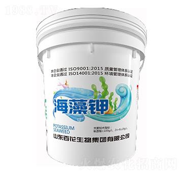 �����-�ٻ�����