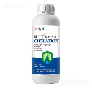 �����}�V-��С��-��巉�