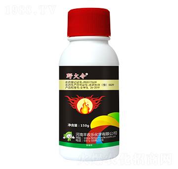 32.4%���ᡤ�ݸ��-Ұ����-�S�՘�