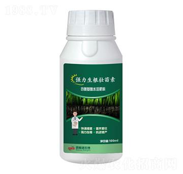 ��������������-��˹�Z