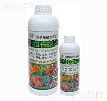 �������L(zh��ng)�����-��ؾG