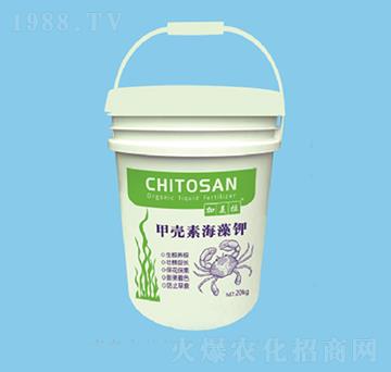 �ך��غ����-������