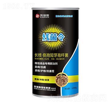 �L(zh��ng)֦����(c��)�߶�ѿ�ߗU��-������-�P��˹