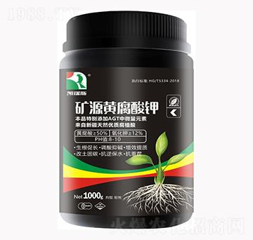 �VԴ�S����⛣�1000g��-�P��˹