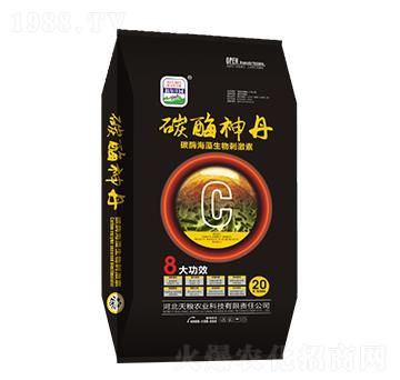 ̼ø��������̼���-̼ø��-�����f�@-��Z�r�I(y��)