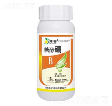 �Ǵ���-�������