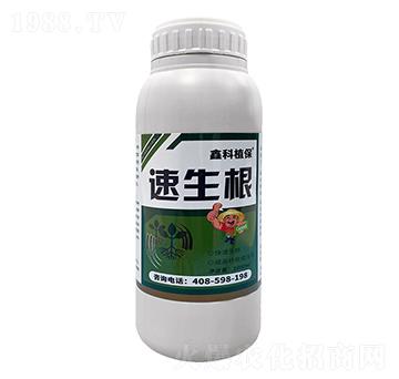 ������-�ο�ֲ��