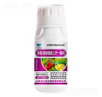 ��ݮ������������ɫһ���`-�֠���(y��u)