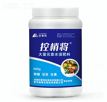 ���Ҍ�-������