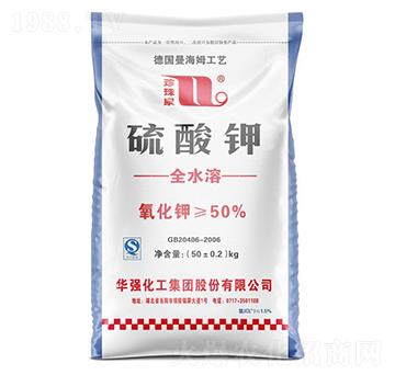 �����-����Ȫ-�A��(qi��ng)�������F(tu��n)