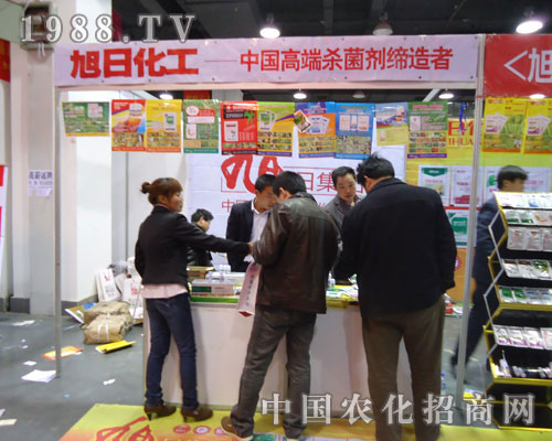 ���ջ���-�Ї��߶˚�����