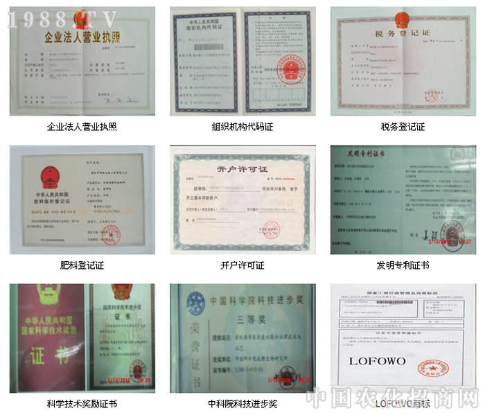 ��������S������Ƽ����޹�˾