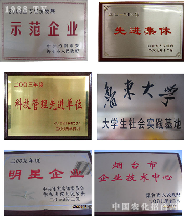 ���_(t��i)�嵤�ˎ�I(y��)���޹�˾