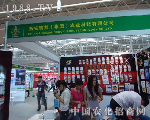 ��������r�I(y��)�ڵ�ʮһ���½��r������������